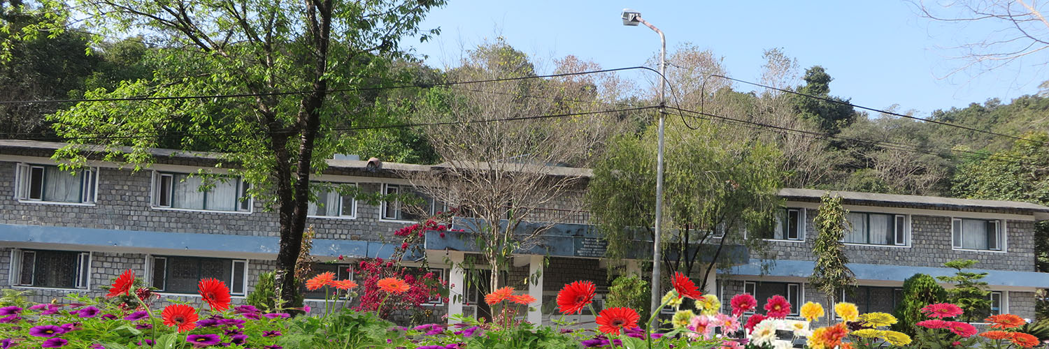 Tribhuvan University, Institute of Forestry, Office of the Dean