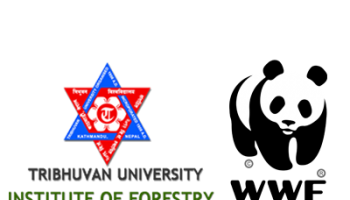 Spring Assessment and Revival Project (SARP)