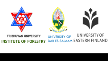 Towards  Responsive Governance in Climate Change Adaptation and Mitigation